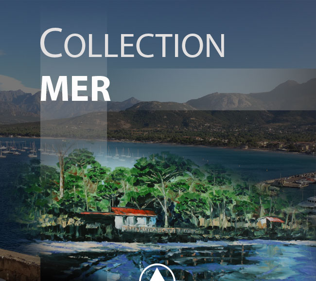 collection mer
