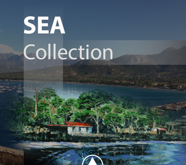 Sea collection