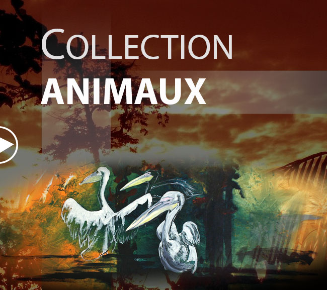 collection animaux